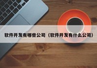 軟件開發(fā)有哪些公司（軟件開發(fā)有什么公司）