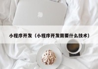 小程序開發(fā)（小程序開發(fā)需要什么技術）