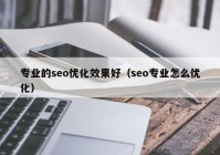 專業(yè)的seo優(yōu)化效果好（seo專業(yè)怎么優(yōu)化）