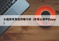 小程序開發(fā)軟件哪個好（開發(fā)小程序的app）