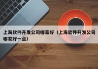 上海軟件開發(fā)公司哪家好（上海軟件開發(fā)公司哪家好一點）