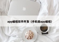 app編程軟件開發(fā)（手機(jī)端app編程）