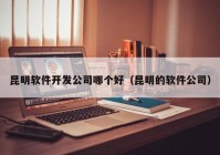 昆明軟件開發(fā)公司哪個(gè)好（昆明的軟件公司）