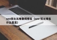 seo優(yōu)化從哪里找排名（seo 優(yōu)化排名什么意思）