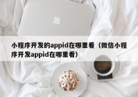 小程序開(kāi)發(fā)的appid在哪里看（微信小程序開(kāi)發(fā)appid在哪里看）