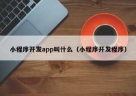 小程序開發(fā)app叫什么（小程序開發(fā)程序）