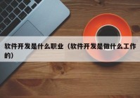 軟件開發(fā)是什么職業(yè)（軟件開發(fā)是做什么工作的）