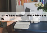 軟件開發(fā)培訓(xùn)內(nèi)容是什么（軟件開發(fā)技術(shù)培訓(xùn)班）