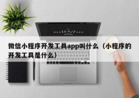 微信小程序開發(fā)工具app叫什么（小程序的開發(fā)工具是什么）