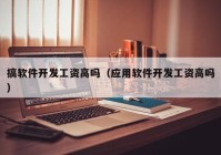 搞軟件開發(fā)工資高嗎（應(yīng)用軟件開發(fā)工資高嗎）